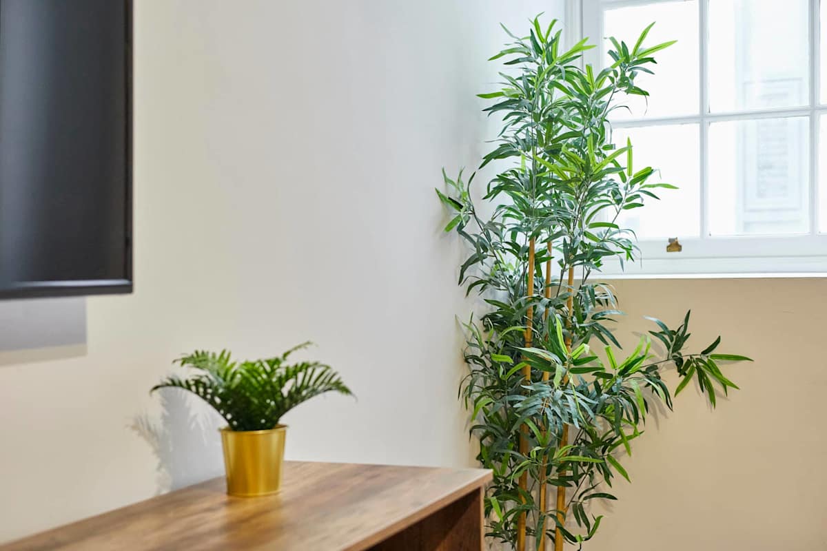 Apartment 2, Stanley Street – photo 14