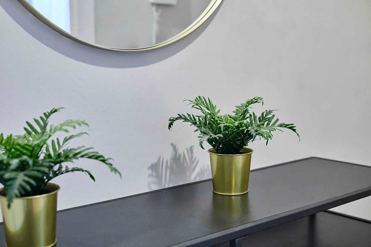 Apartment 2, Stanley Street – photo 20