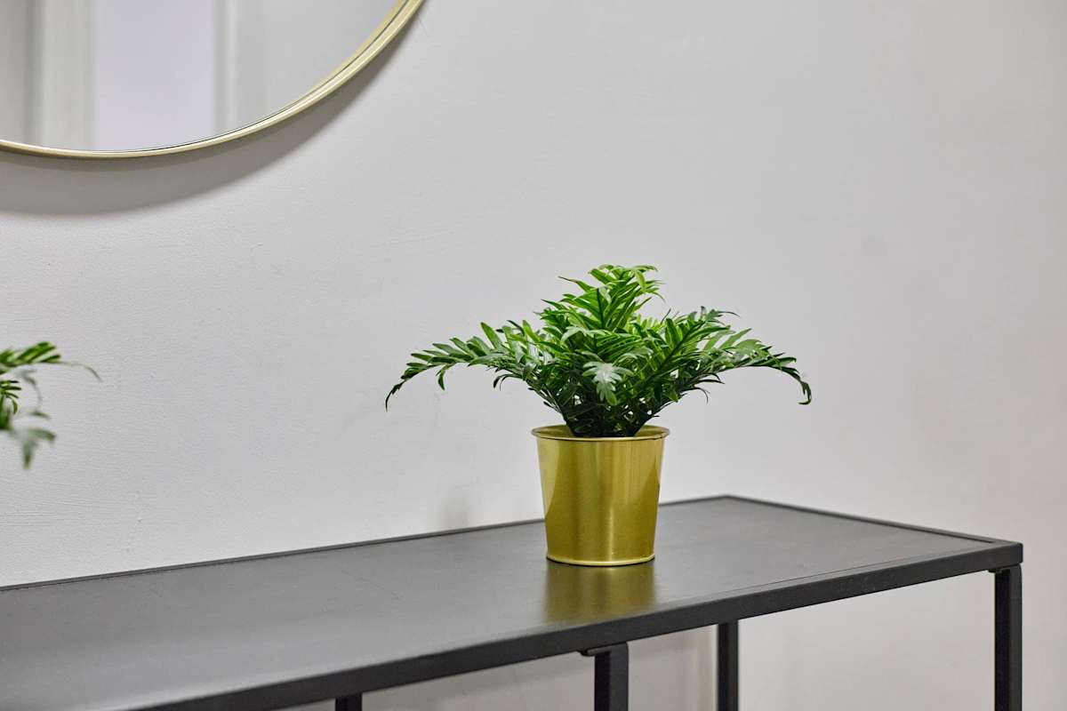 Apartment 6, Stanley Street – photo 16