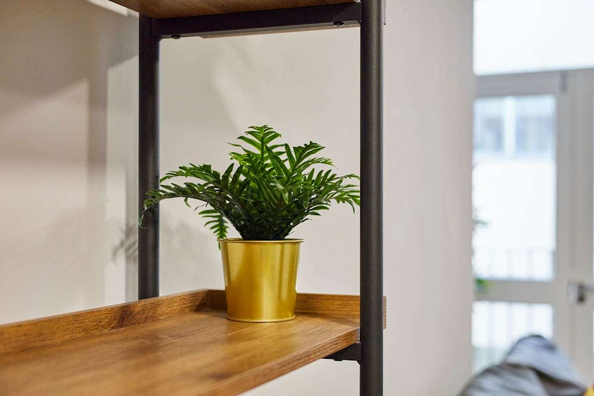 Apartment 7, Stanley Street – photo 9