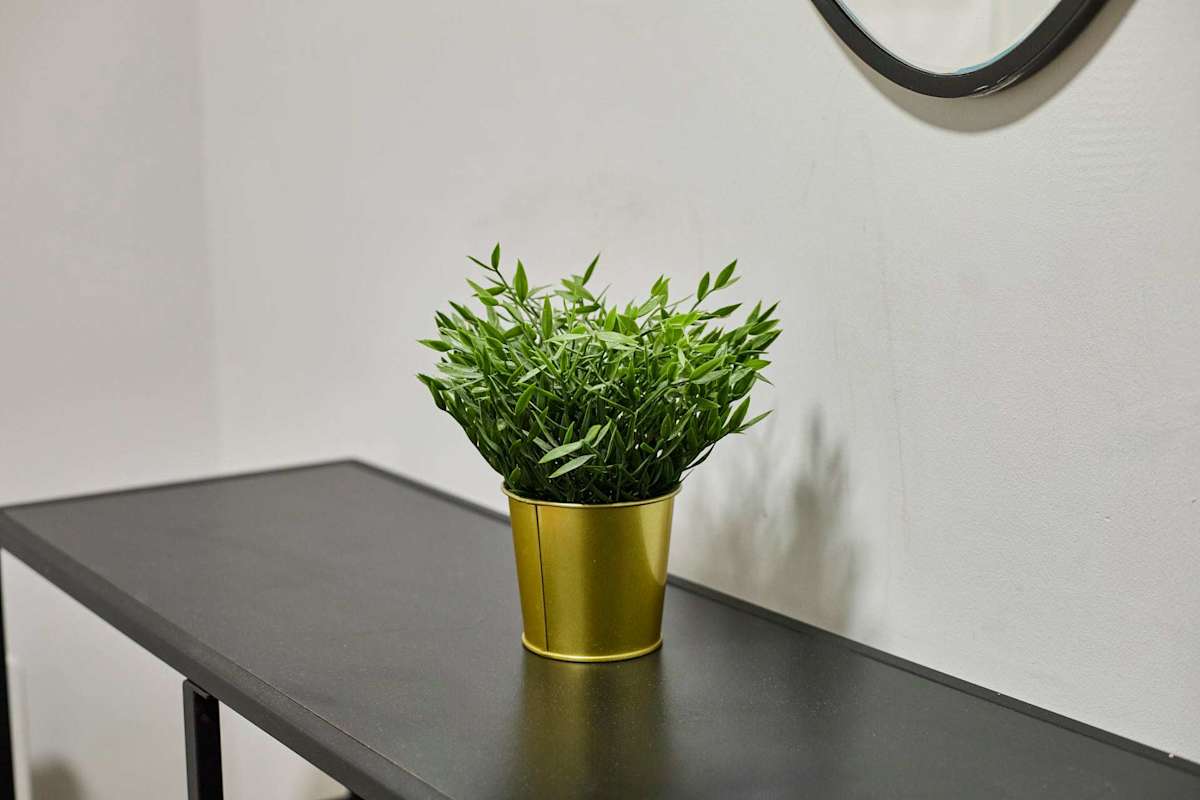 Apartment 10, Stanley Street – photo 16