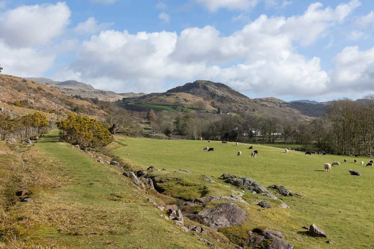 Dalegarth Cottage – photo 6