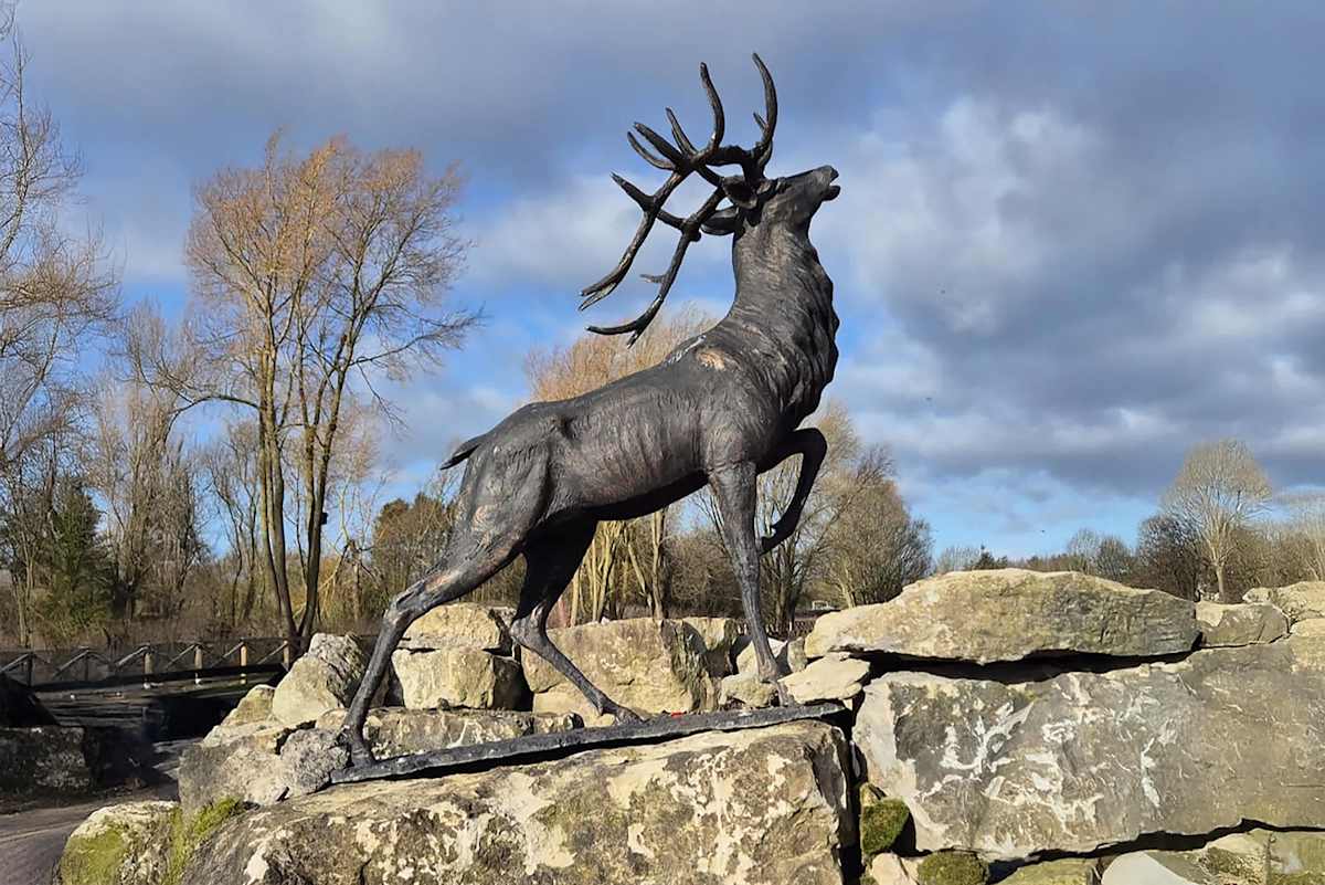Stag Lodge – photo 18
