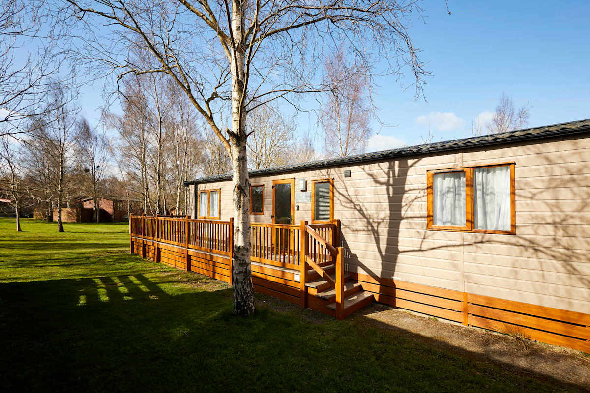 Molly's Place – photo 2