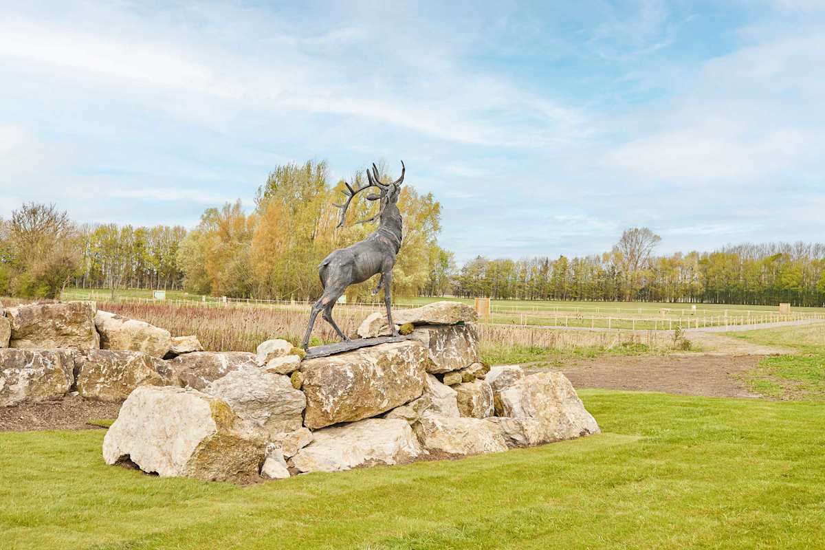 Stag Lodge – photo 19