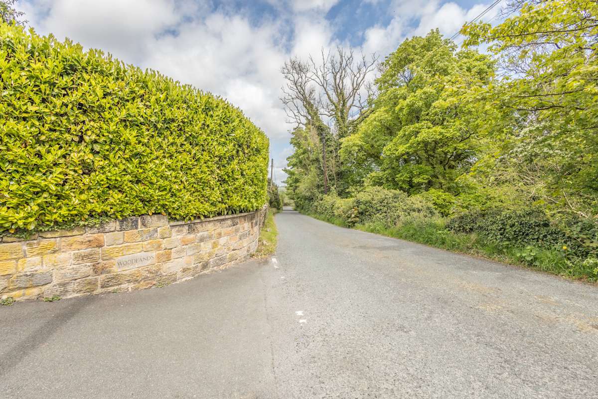 Woodlands View – photo 24
