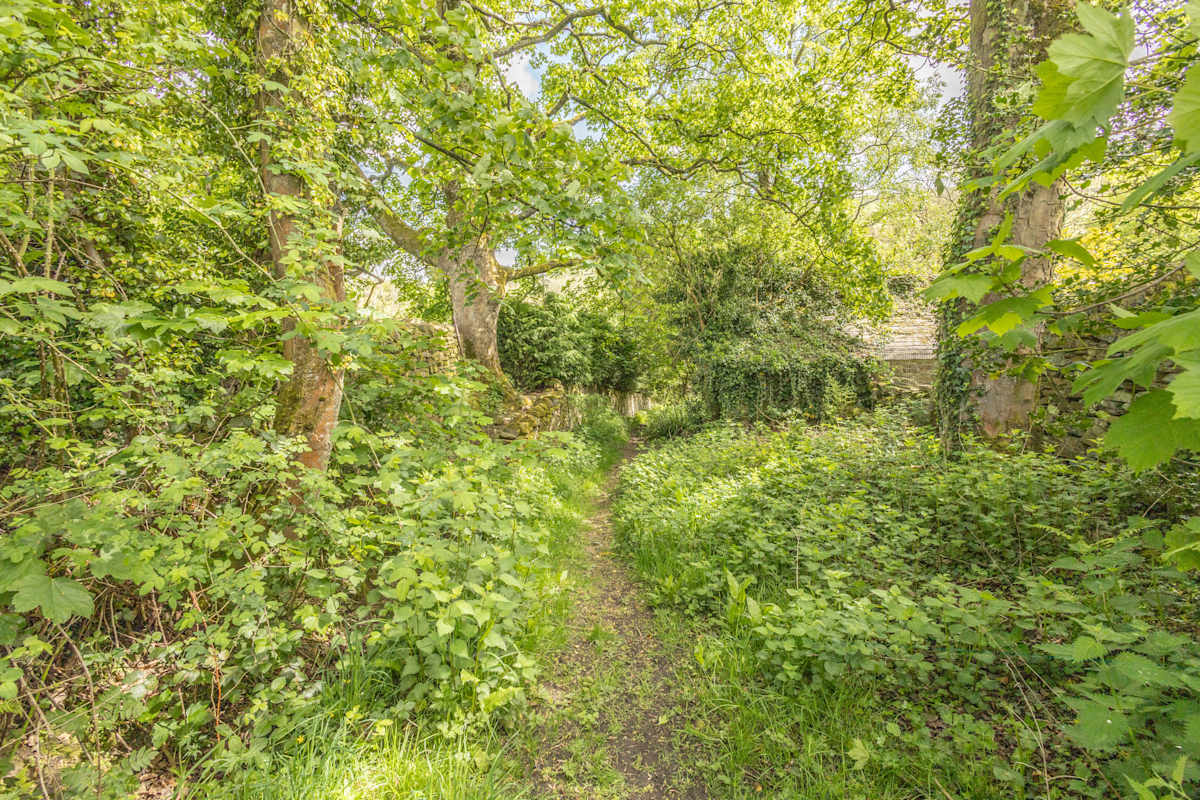 Woodlands View – photo 30