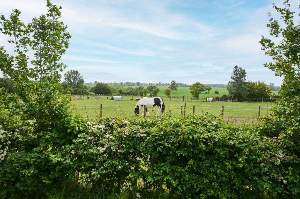 Shepherds View – photo 14