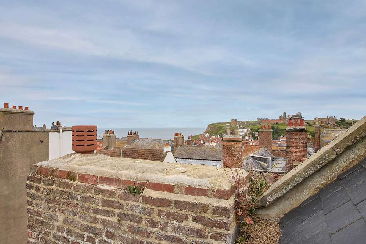 Topsail – photo 21