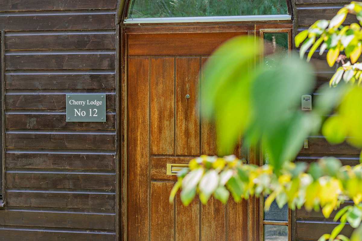 12 Belton Woods – photo 18