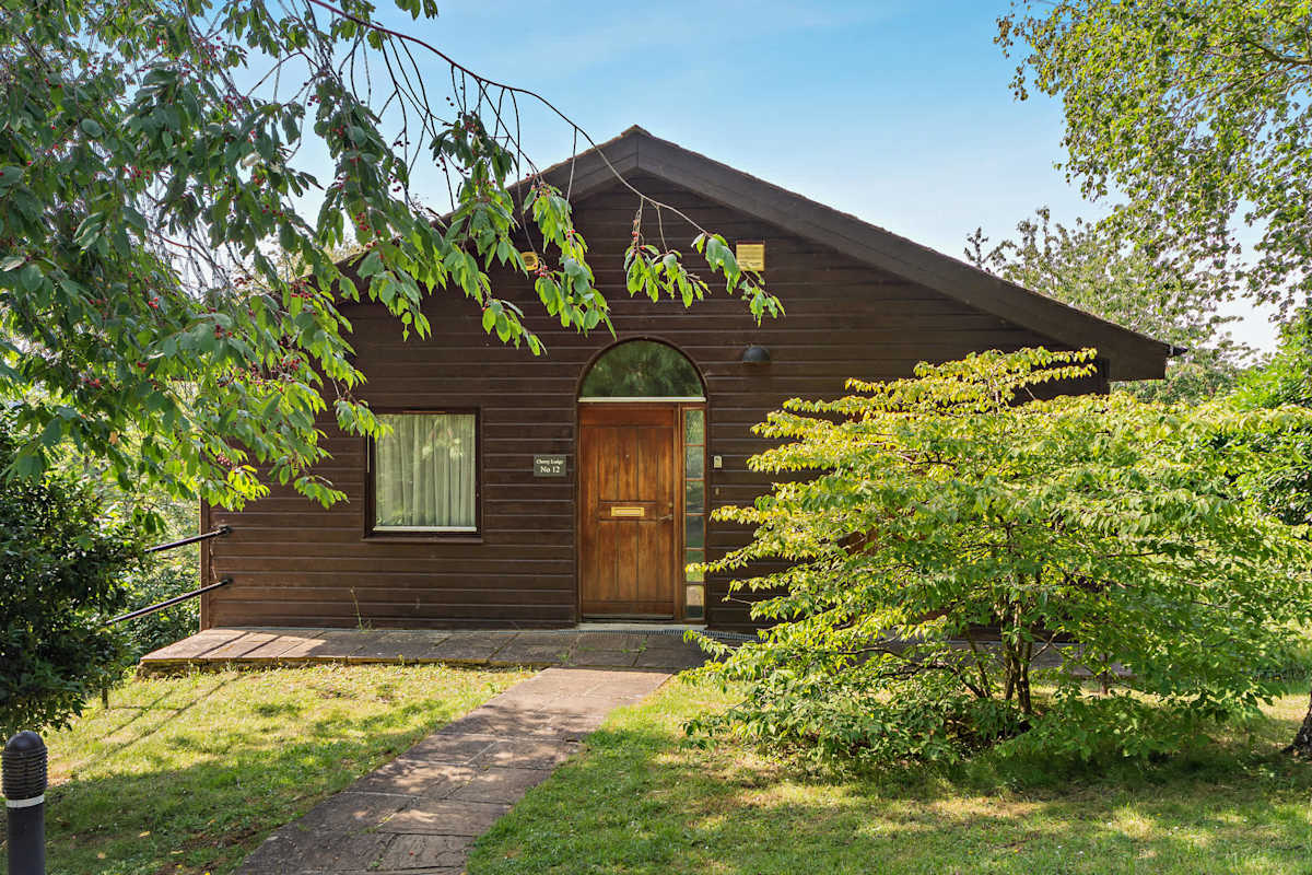 12 Belton Woods – photo 3