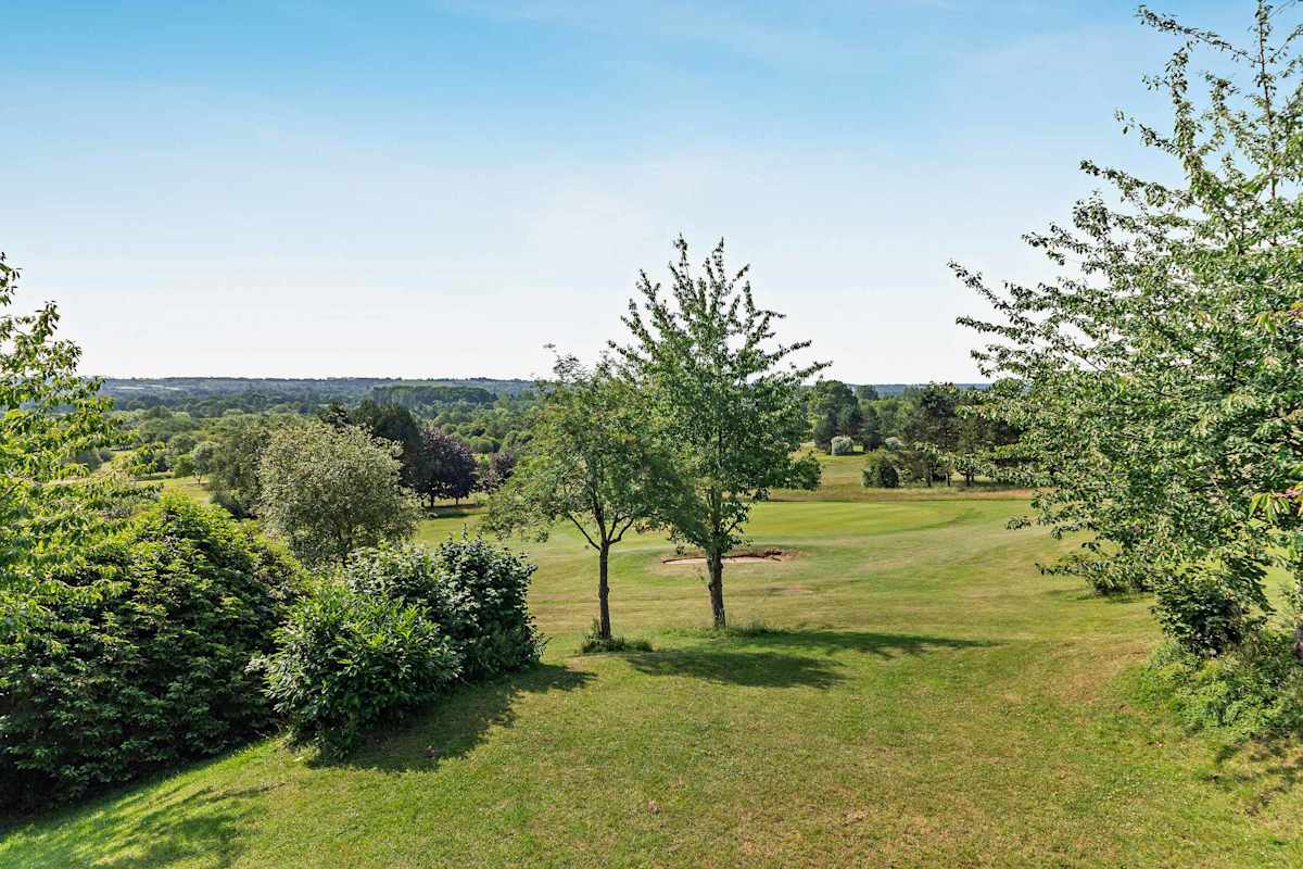 12 Belton Woods – photo 17
