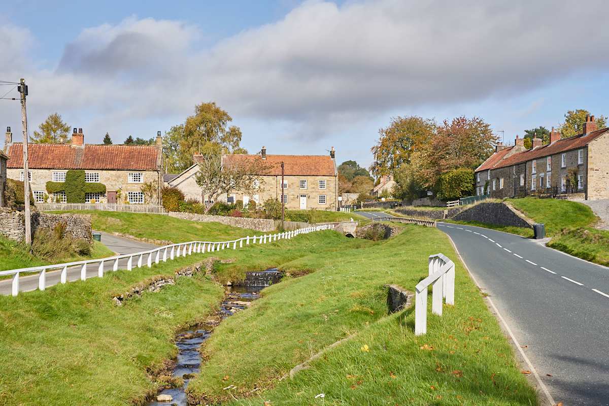 Rosedale – photo 19