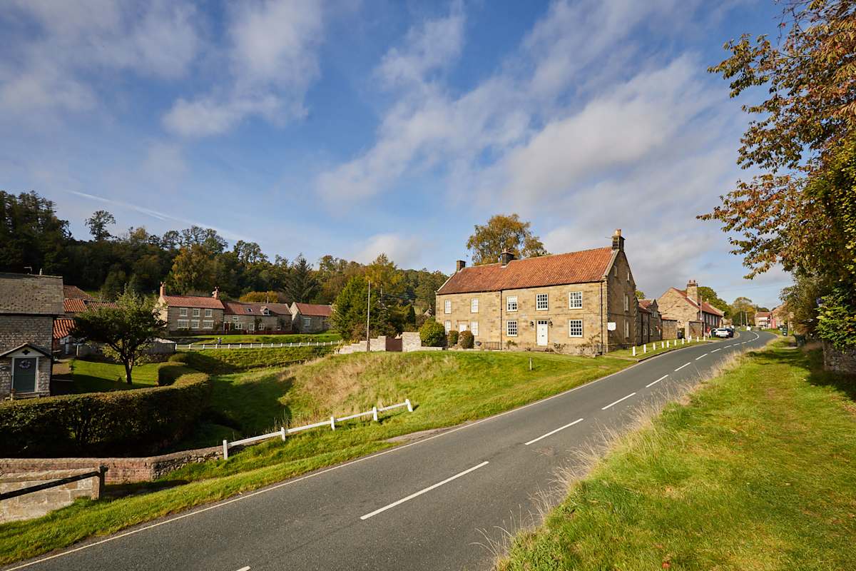 Rosedale – photo 20