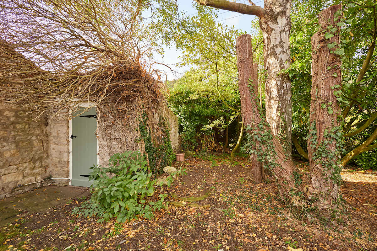 Rosedale – photo 16