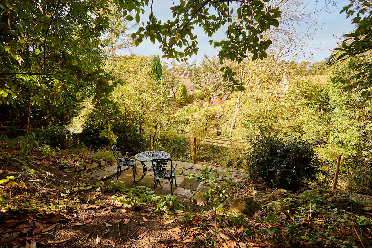 Rosedale – photo 18