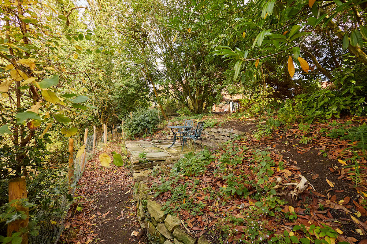 Rosedale – photo 17