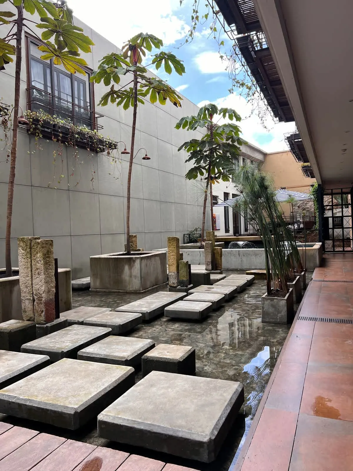 NOK Lovely Studio in Candelaria — photo 37