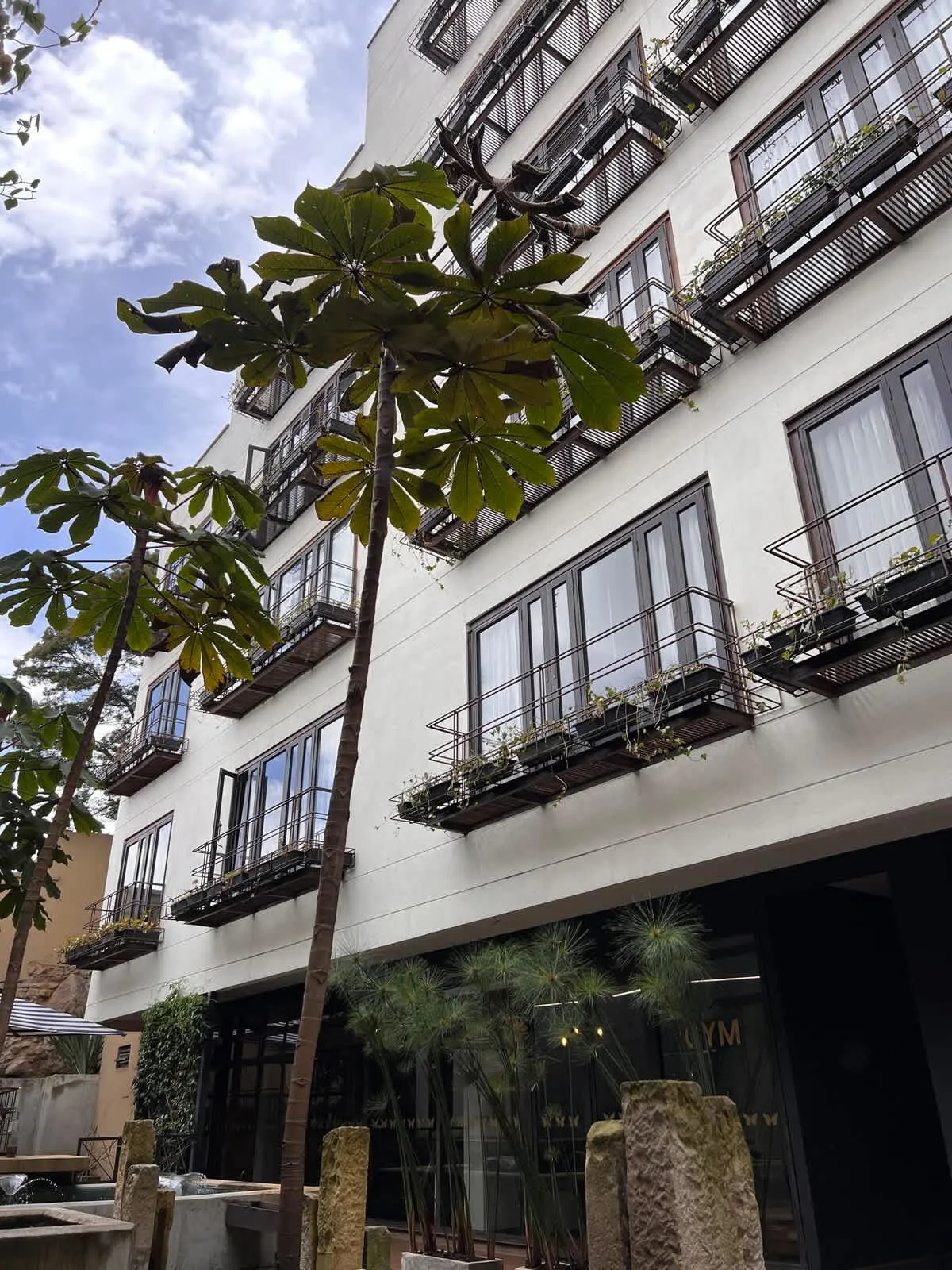 NOK Lovely Studio in Candelaria — photo 36