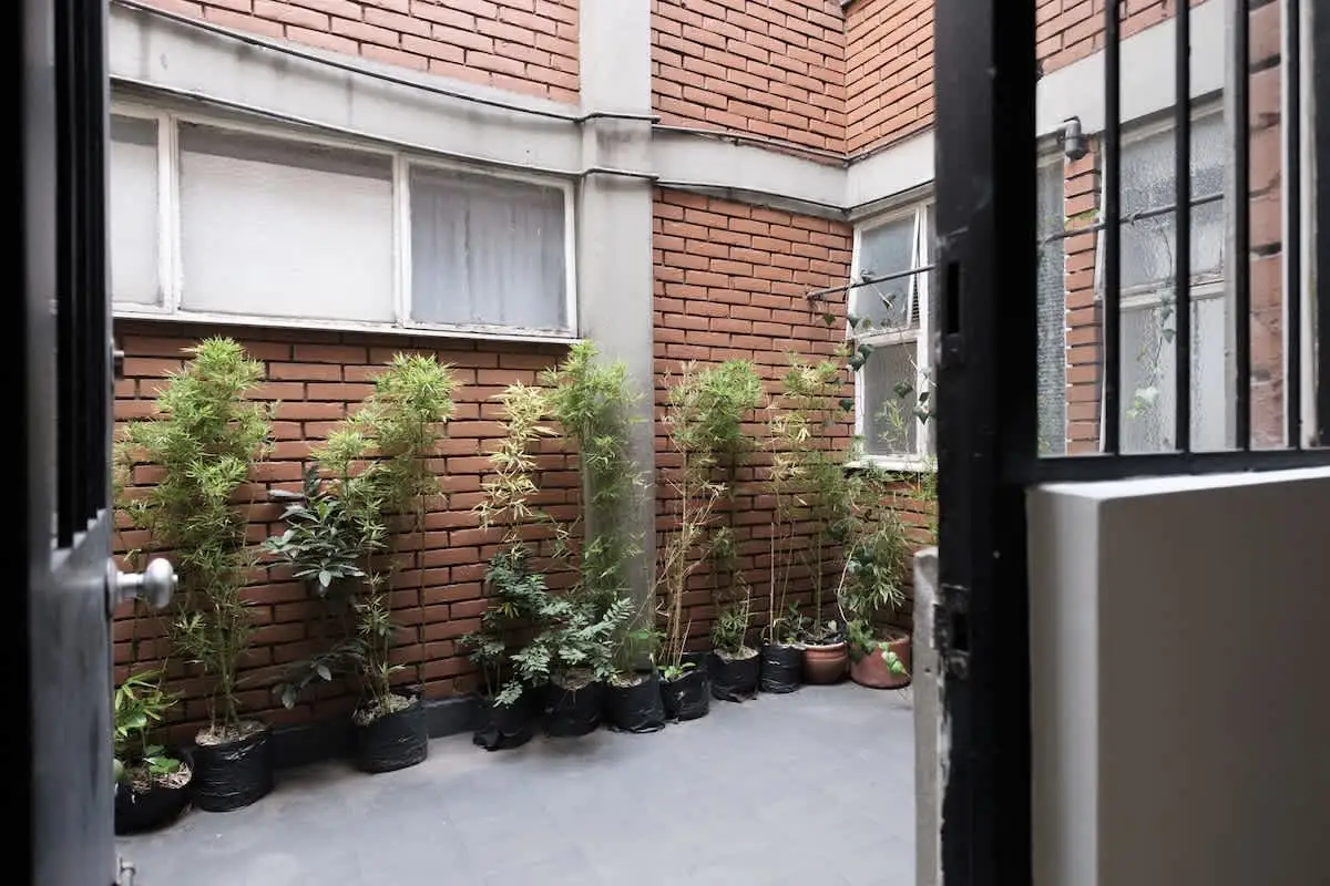 NOK Amazing 3 BR apt in Zona Rosa — foto 20