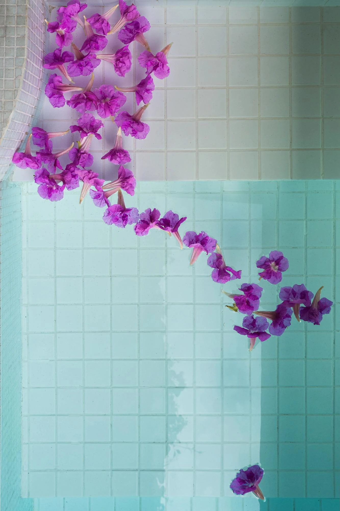 NOK Luxury 6BR with 24/7 Staff, Pool at Getsemani — photo 56