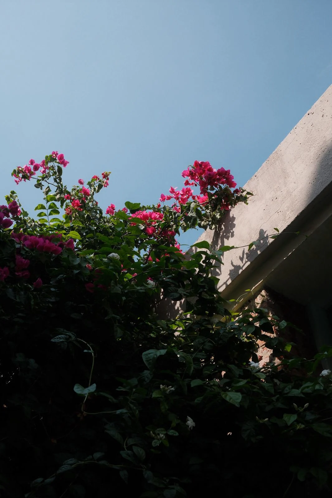 NOK Luxury 6BR with 24/7 Staff, Pool at Getsemani — photo 54