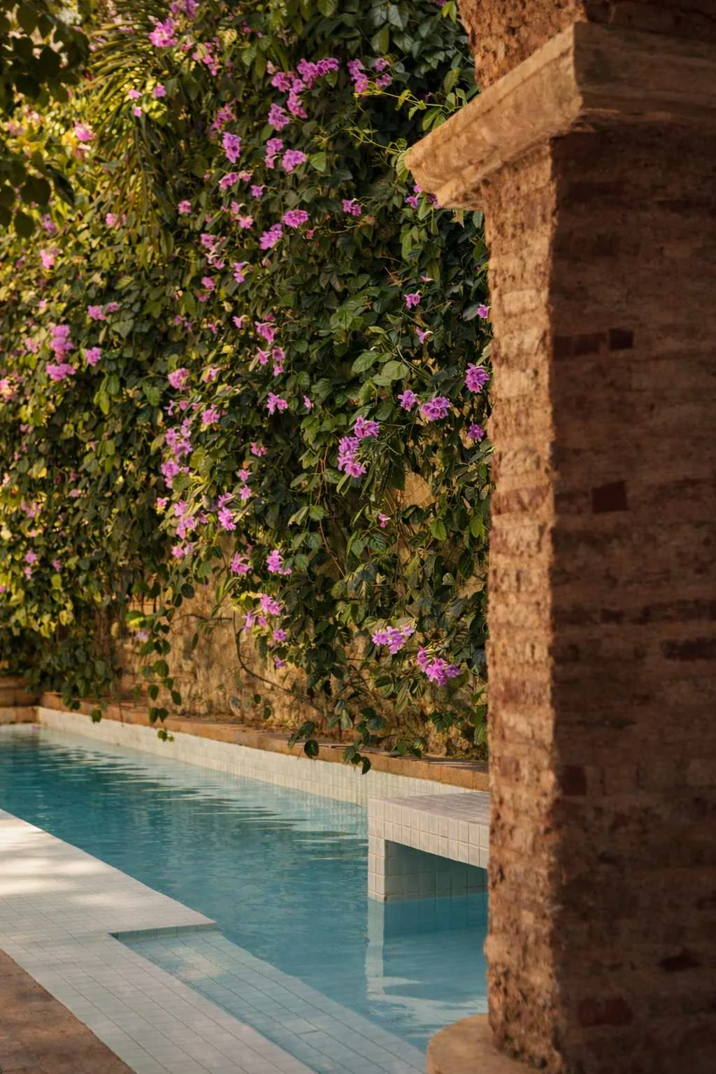 NOK Luxury 6BR with 24/7 Staff, Pool at Getsemani — photo 68
