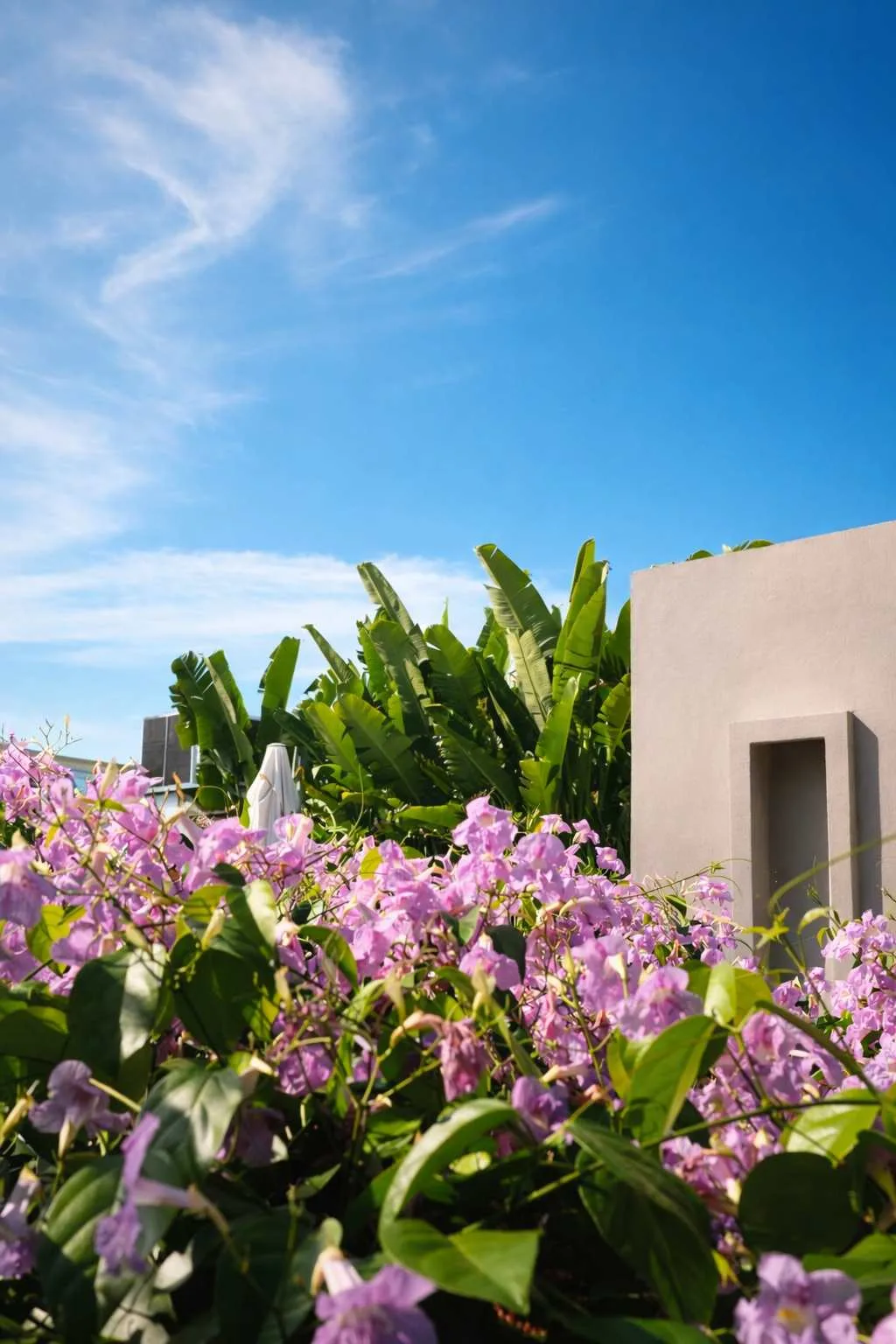 NOK Luxury 6BR with 24/7 Staff, Pool at Getsemani — photo 79