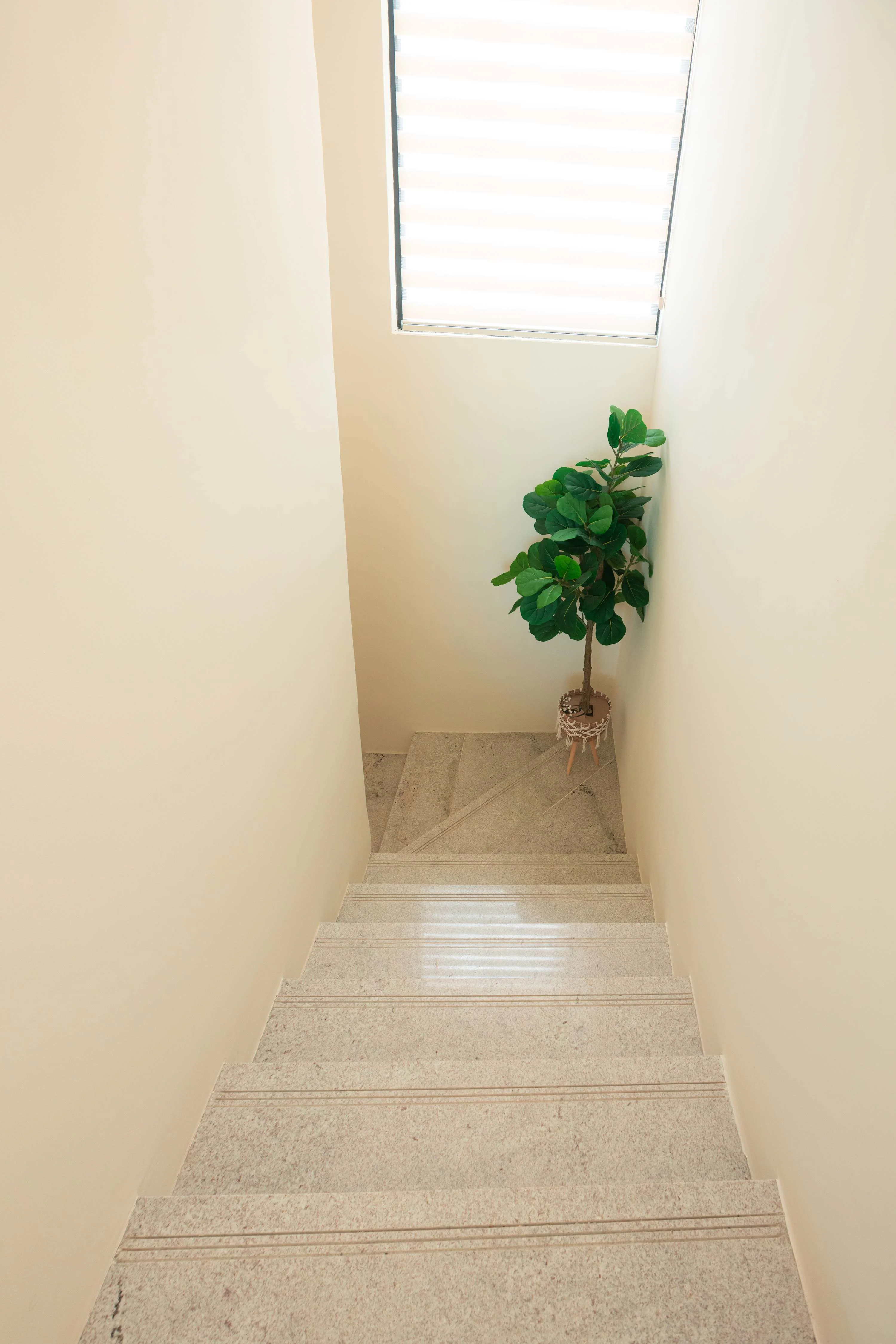 NOK Modern 3BR Townhouse in Punta Cana  — photo 23