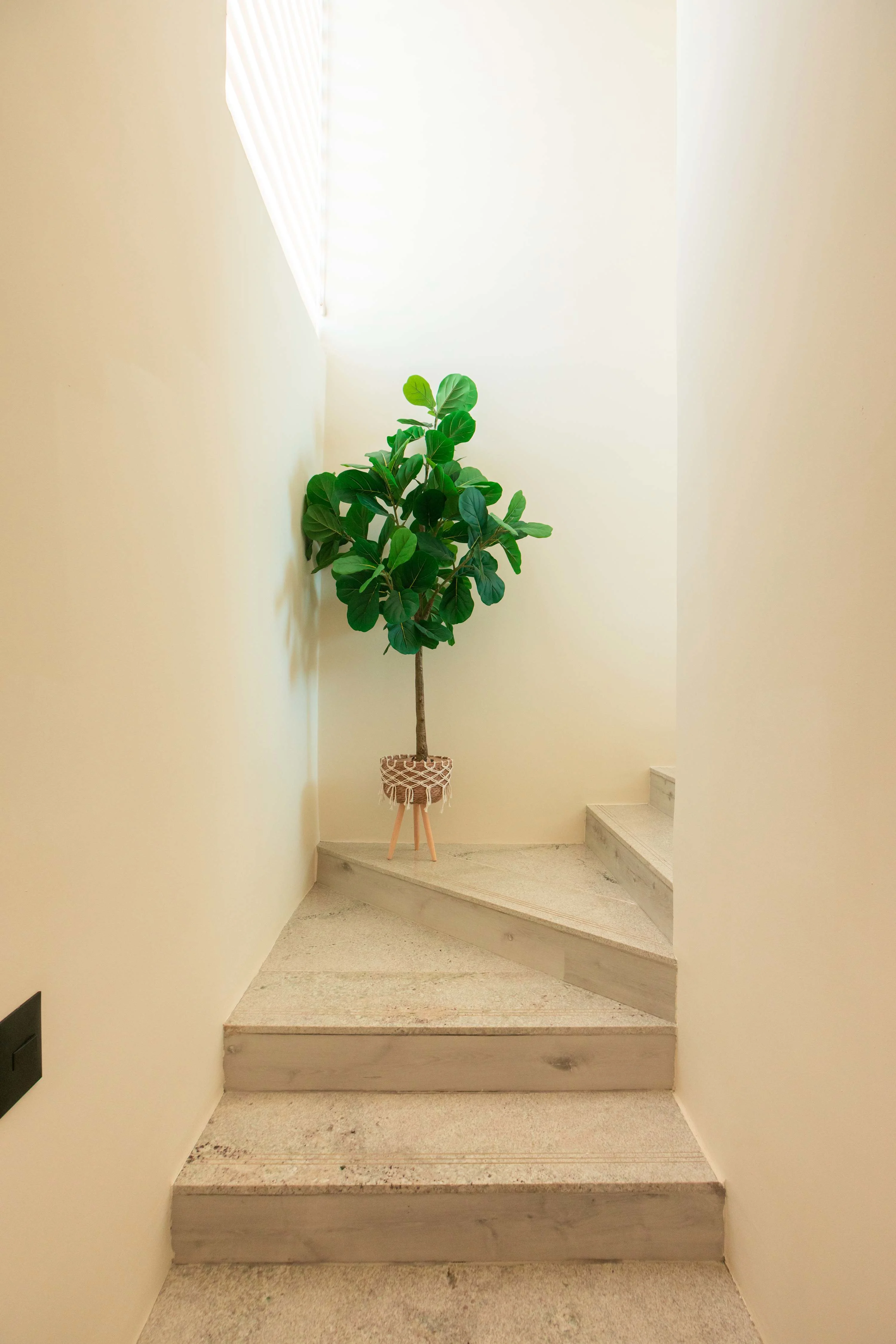NOK Modern 3BR Townhouse in Punta Cana  — photo 22