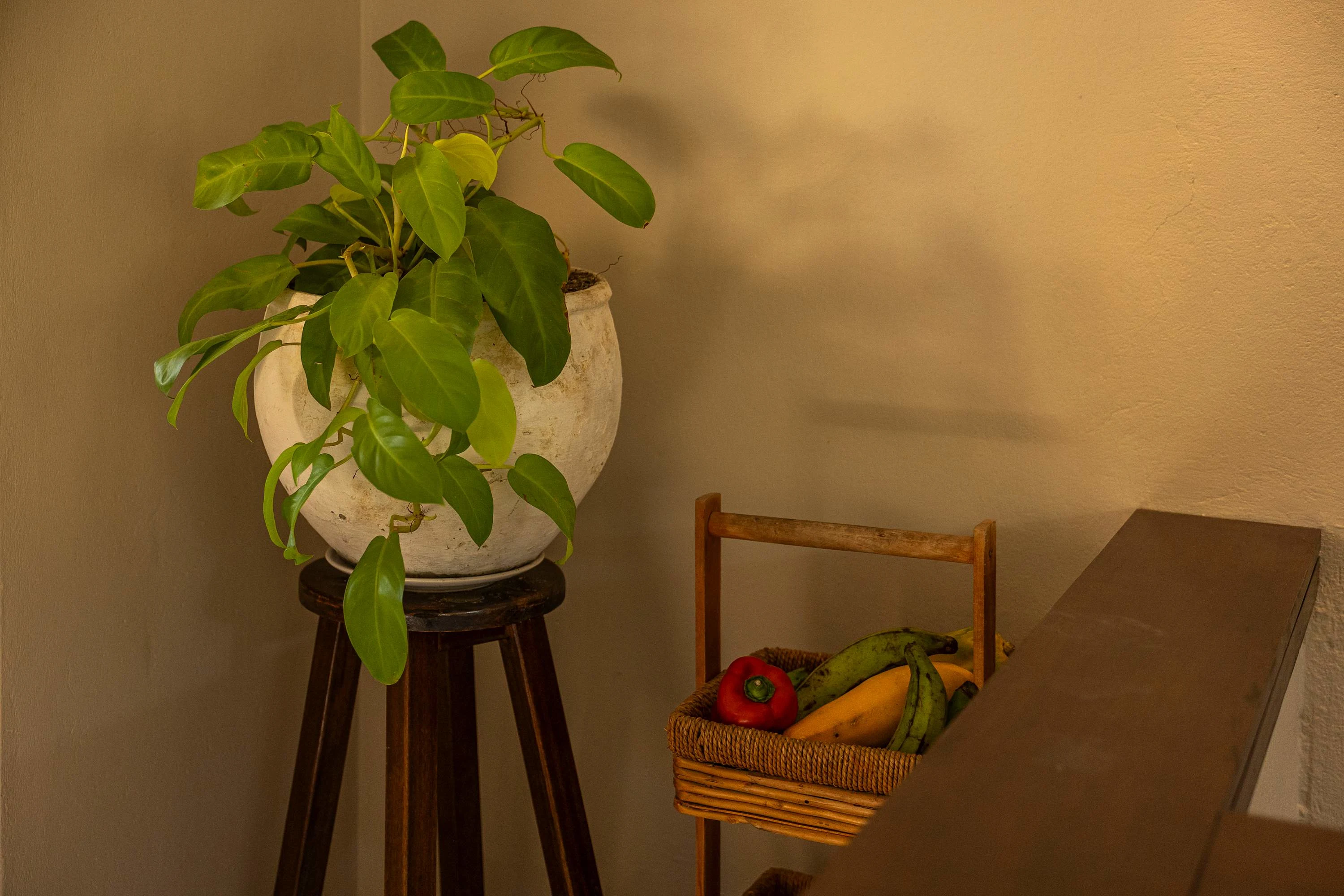 NOK Art-Filled 2BR · Shared Pool · Getsemani — foto 33