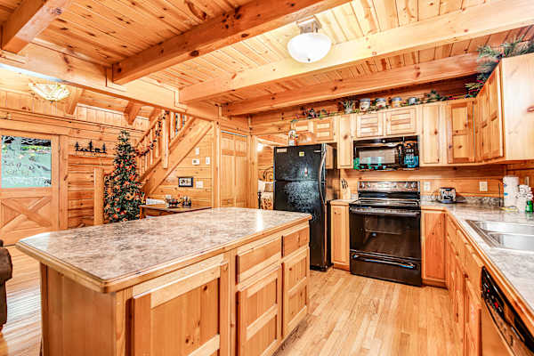 Bear Pleasures photo 4