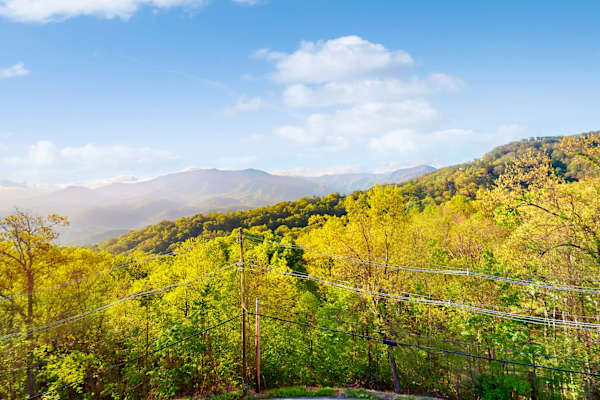 Sweet Mountain Delight #313 photo 4
