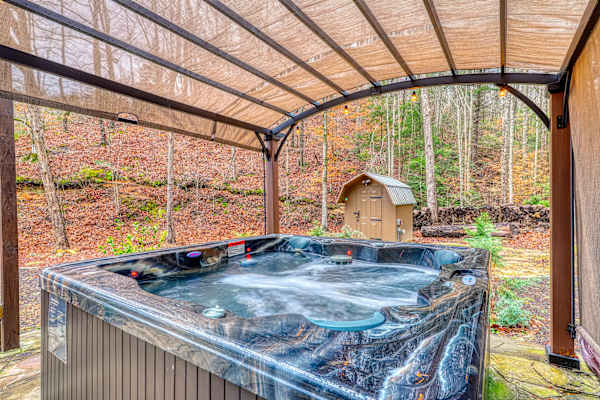 Smoky Mountain Tiny Home photo 2