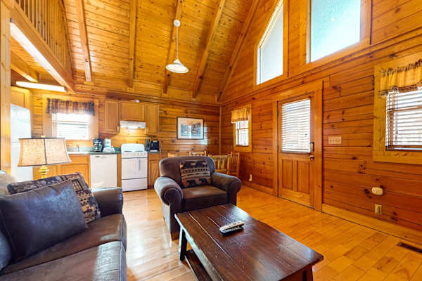 Lazy Bear Den photo 5