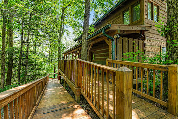 Smokies Sanctuary Cabin photo 3