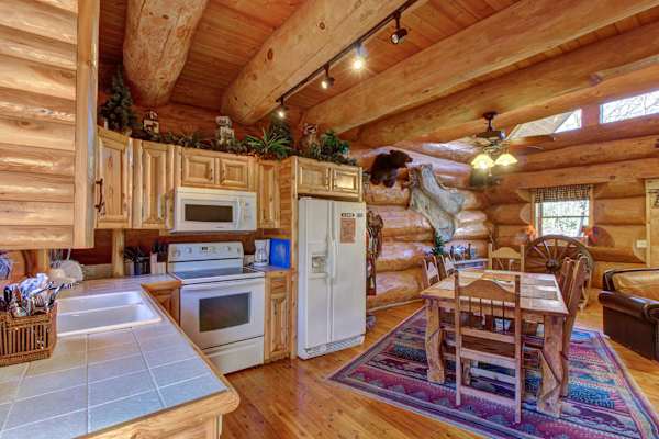 Chief Big Log Cabin photo 5