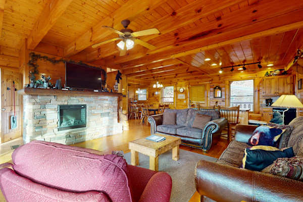 Million Dollar View Cabin photo 4