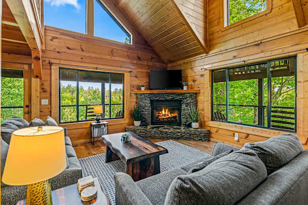The Treehouse photo 2