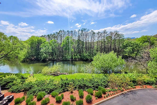 River Place 527 photo 3