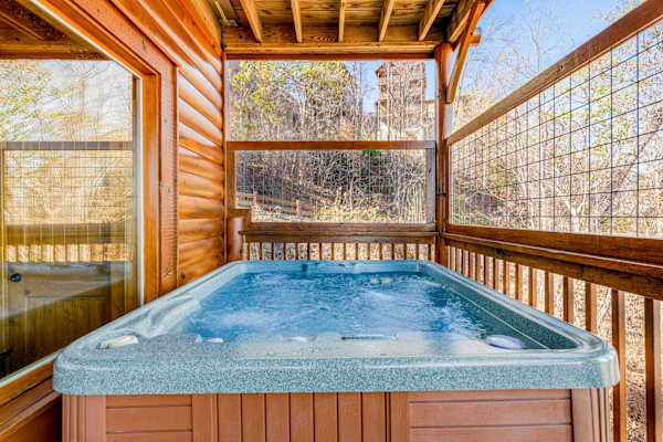 Legacy Mountain Resort – Bearly Believable photo 2