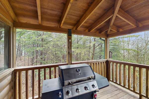 Pickleball & Panoramic Views photo 5