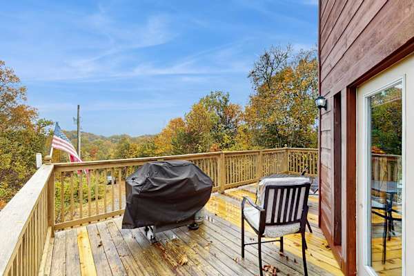 Woodland Chalet photo 3