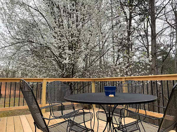 1719 North Dogwood photo 4
