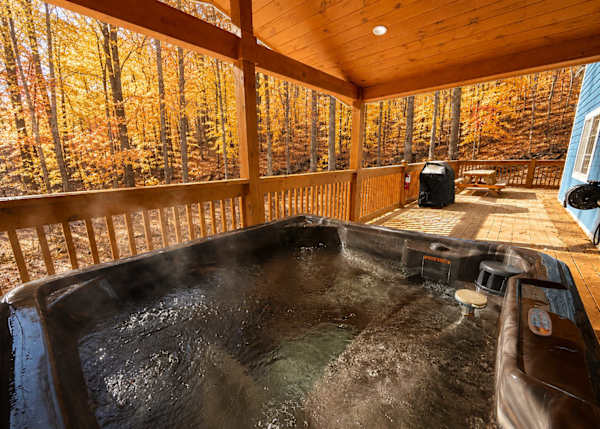 Serenity Cabin photo 3