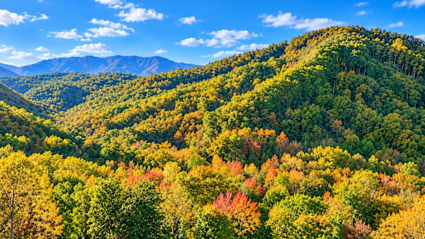 Smokey’s Lodge photo 3