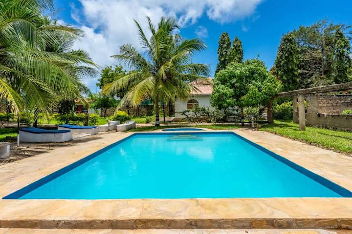 Samawati’s swimming pool, surrounded by palms, lawn and a paved terrace.
