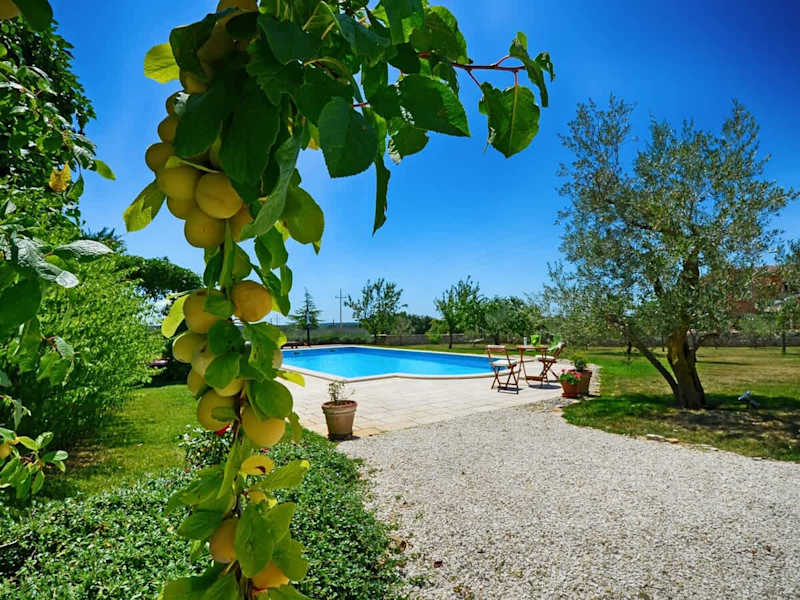 Design Villa Benka with heated pool in Istria property photo 4