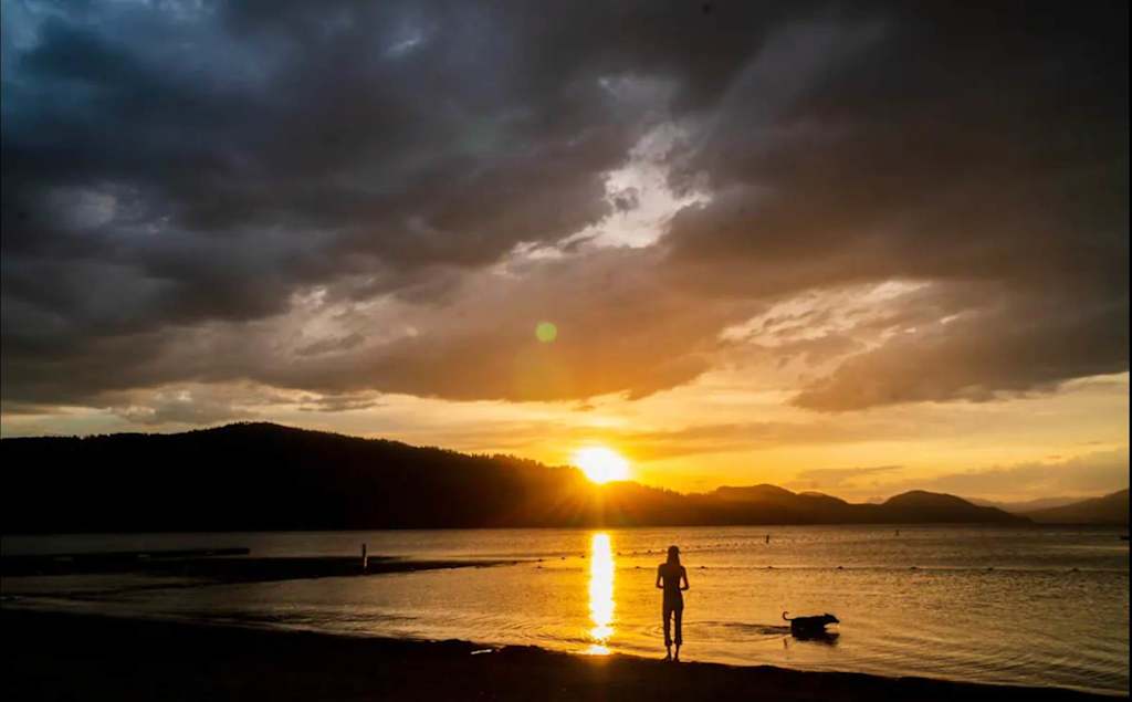 The Evergreen — silhouette of a person and a dog on a lake shore during sunset