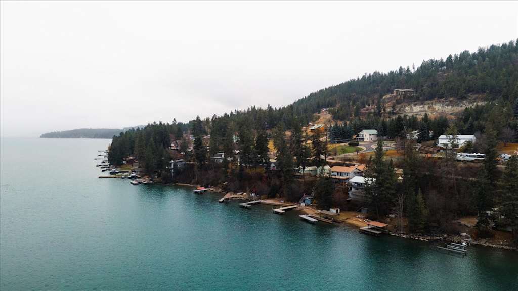 The Evergreen — aerial view of a lake shoreline with houses, boat docks, and forested hills